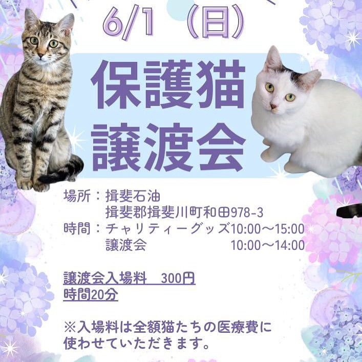 【6月営業カレンダー＆お知らせ一覧】