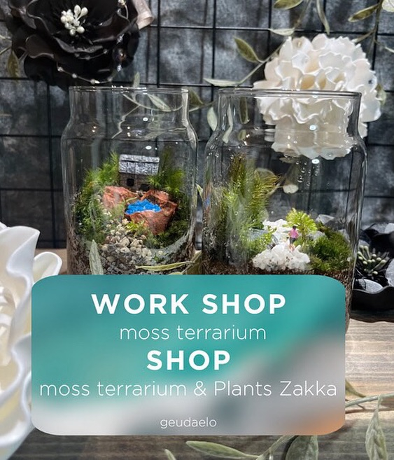 【夏のワークショップ開催のお知らせ- ̗̀📣】