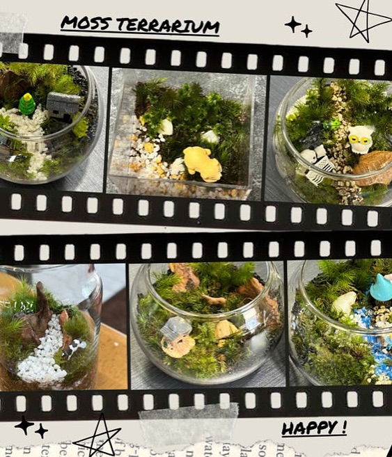 【夏のワークショップ開催のお知らせ- ̗̀📣】