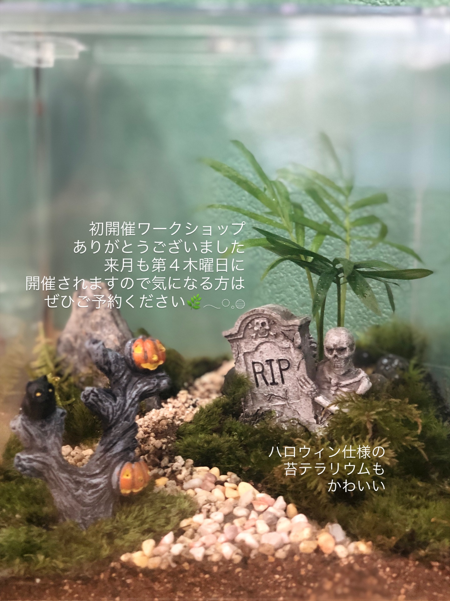 【初開催ワークショップありがとうございました！】