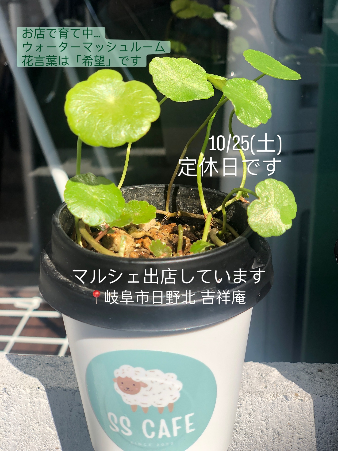 【11/25(土)マルシェ出店のためお店はお休みです】