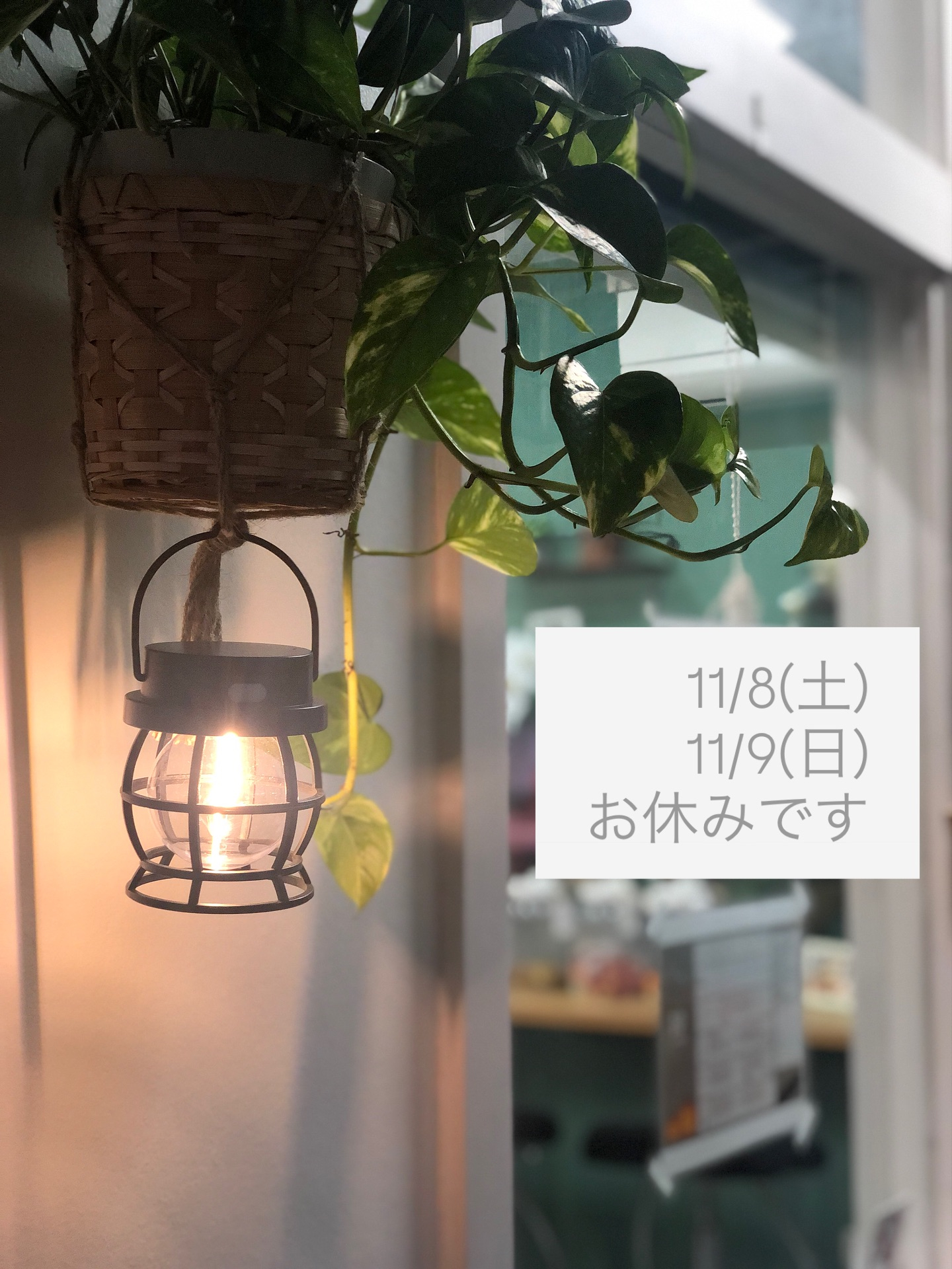 【11/8(土)11/9(日)は定休日です】