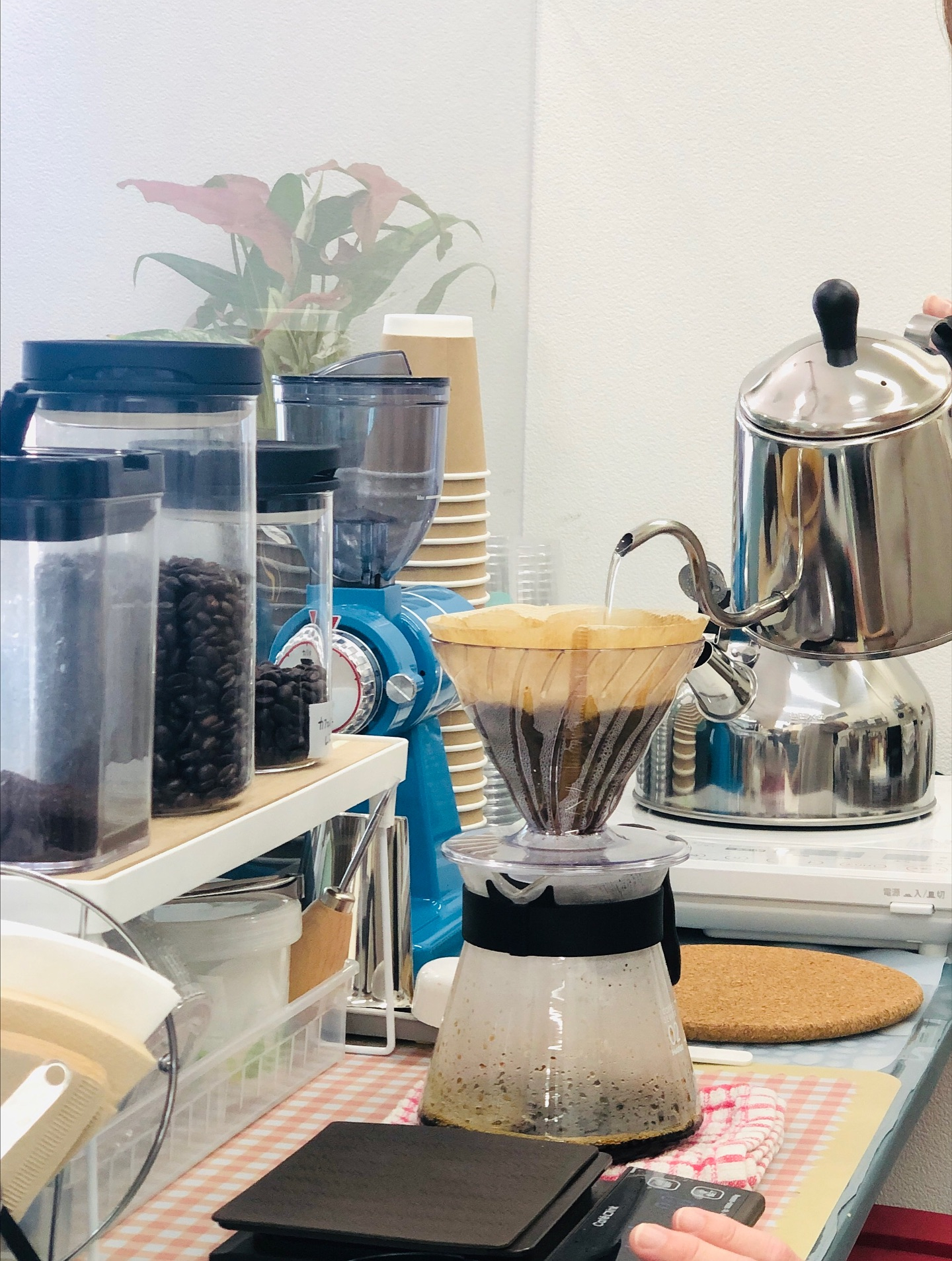 【11/8(土)11/9(日)は定休日です】