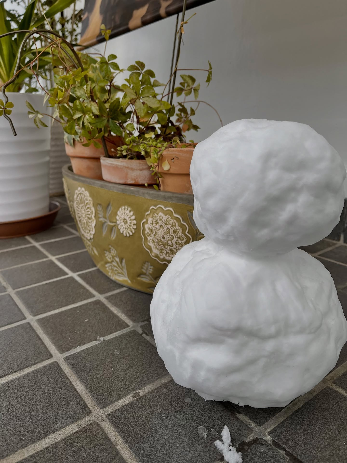 【新たな門出の日にお祝いを🌸】