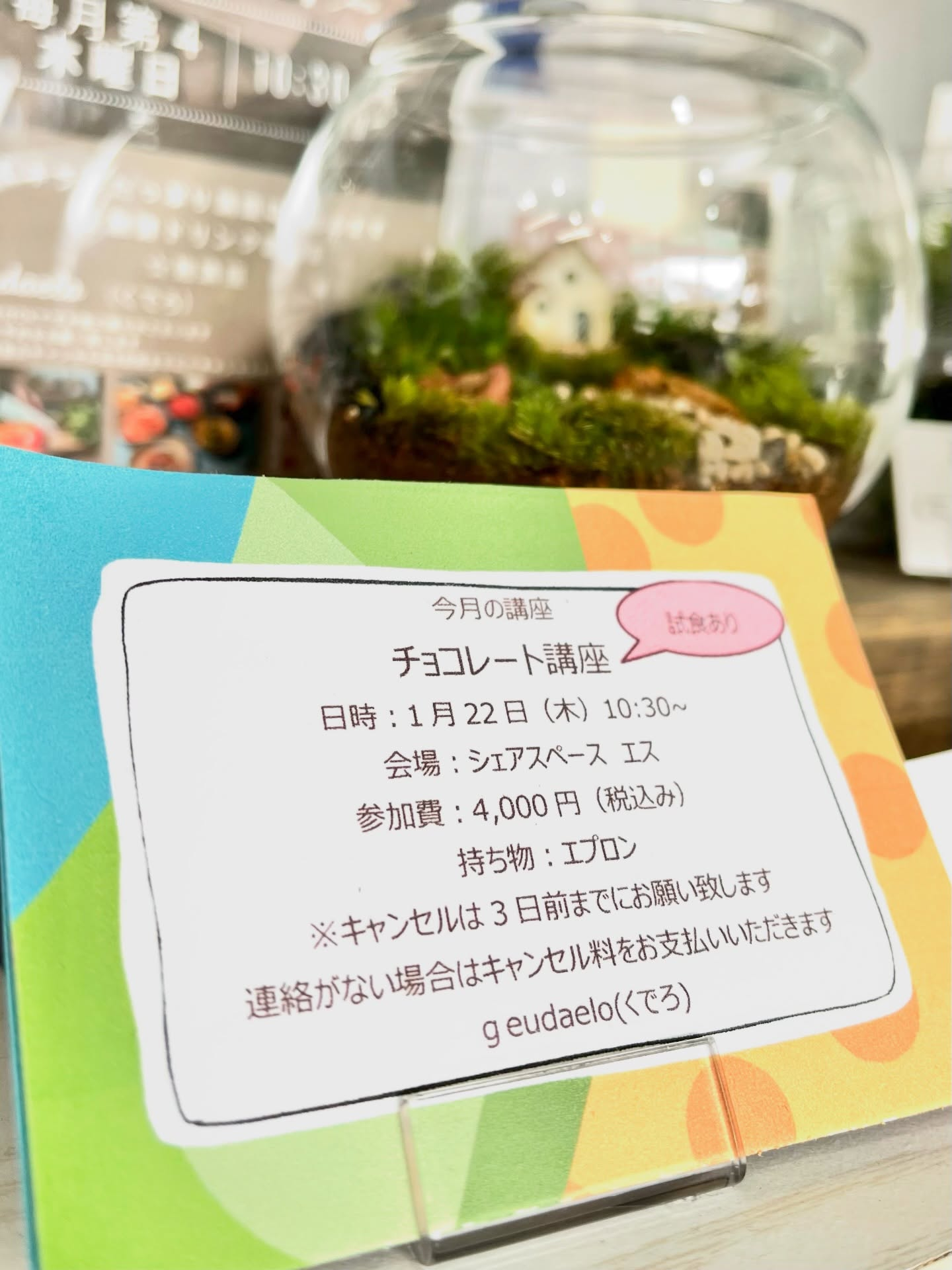 【第4木曜日チョコレート講座&苔テラリウム体験】