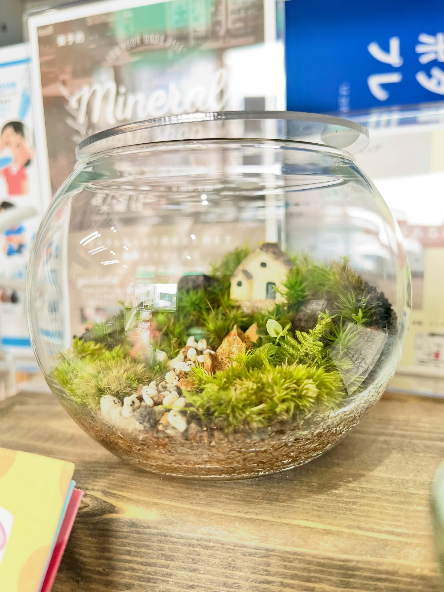 【第4木曜日チョコレート講座&苔テラリウム体験】