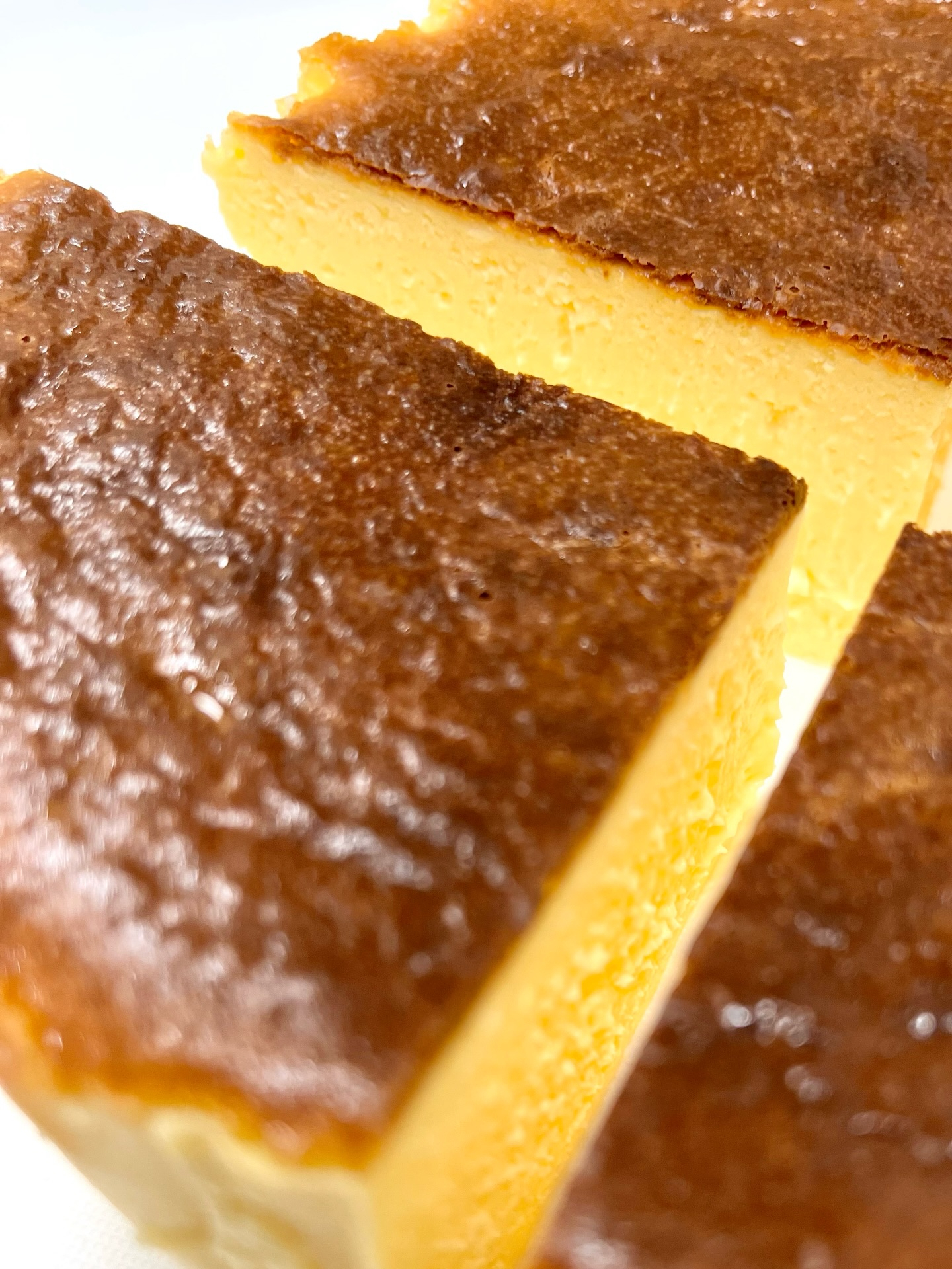 【本日もチーズケーキが美味しそうです🧀】