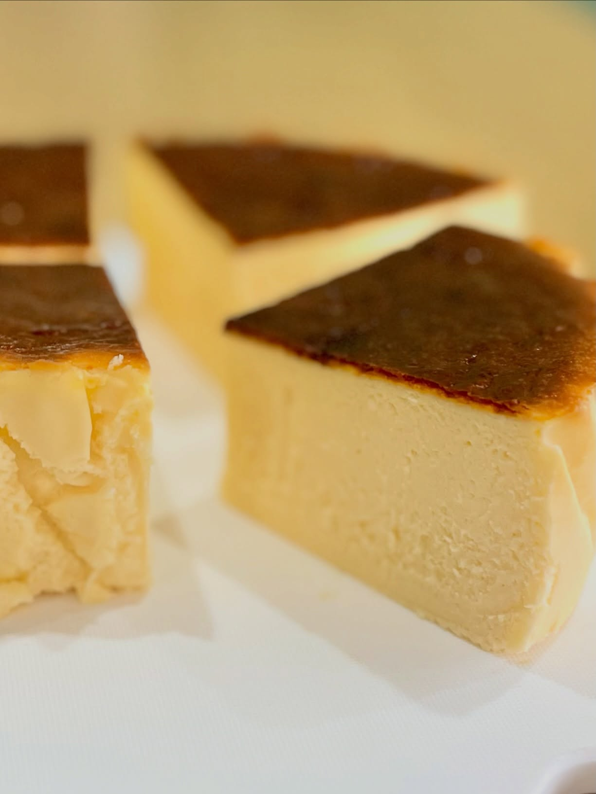 【本日もチーズケーキが美味しそうです🧀】