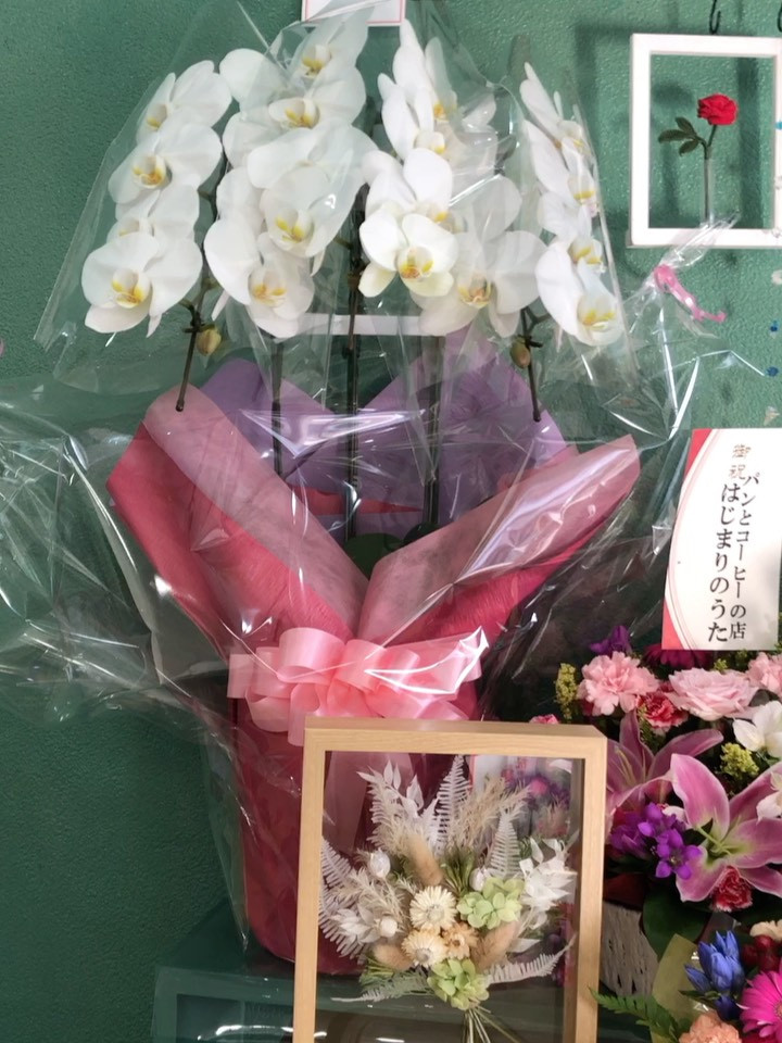 【たくさんのお祝いをありがとうございました！】